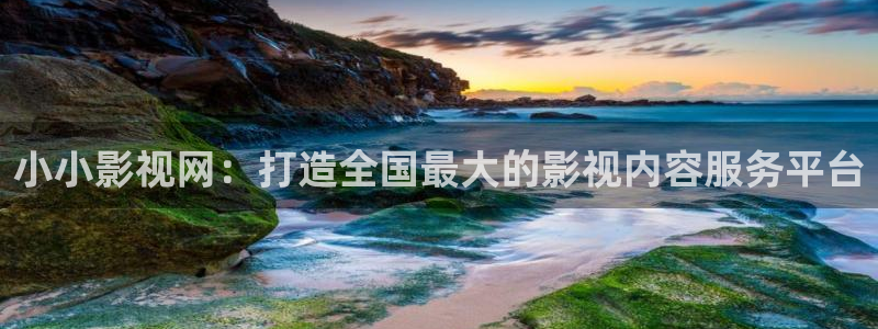 98私人影院：小小影视网：打造全国最大的影视内容服务平台