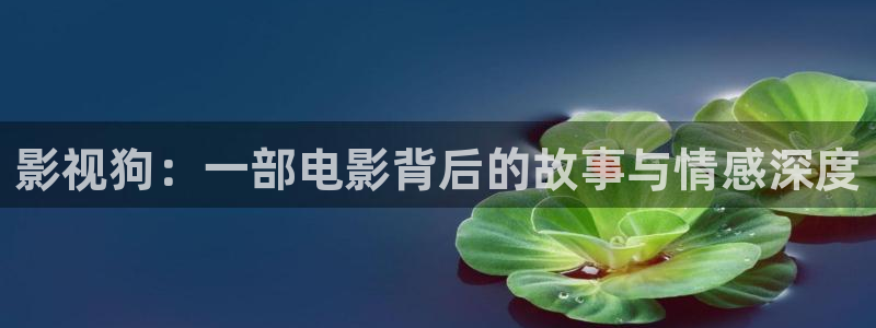98午夜影院：影视狗：一部电影背后的故事与情感深度