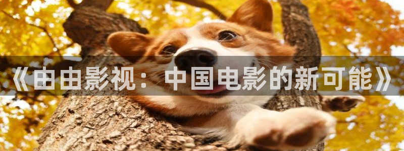 98影院毛片：《由由影视：中国电影的新可能》