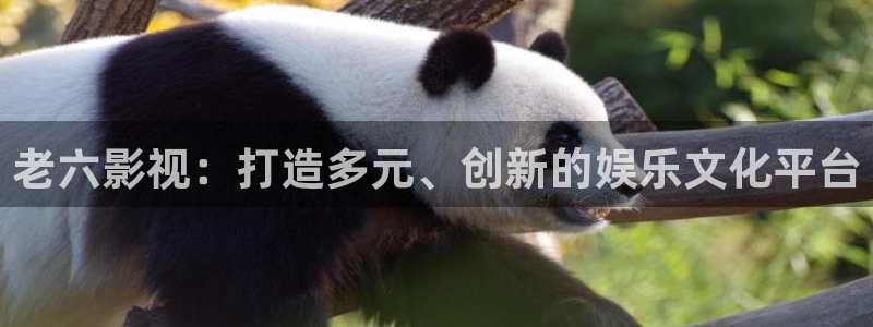 98g影院：老六影视：打造多元、创新的娱乐文化平台