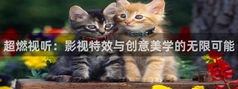 98电影：超燃视听：影视特效与创意美学的无限可能