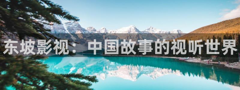 98k视频：东坡影视：中国故事的视听世界