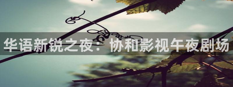 98福利电影院：华语新锐之夜：协和影视午夜剧场