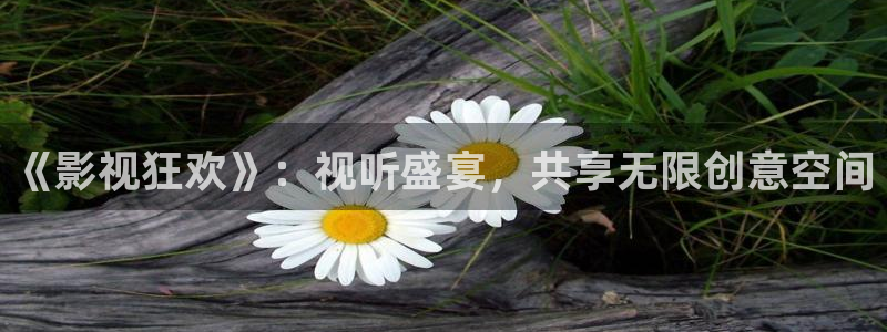超碰免费在线观看98：《影视狂欢》：视听盛宴，共享无限创意空间